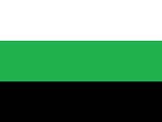 [Image ID: the neutrois flag]